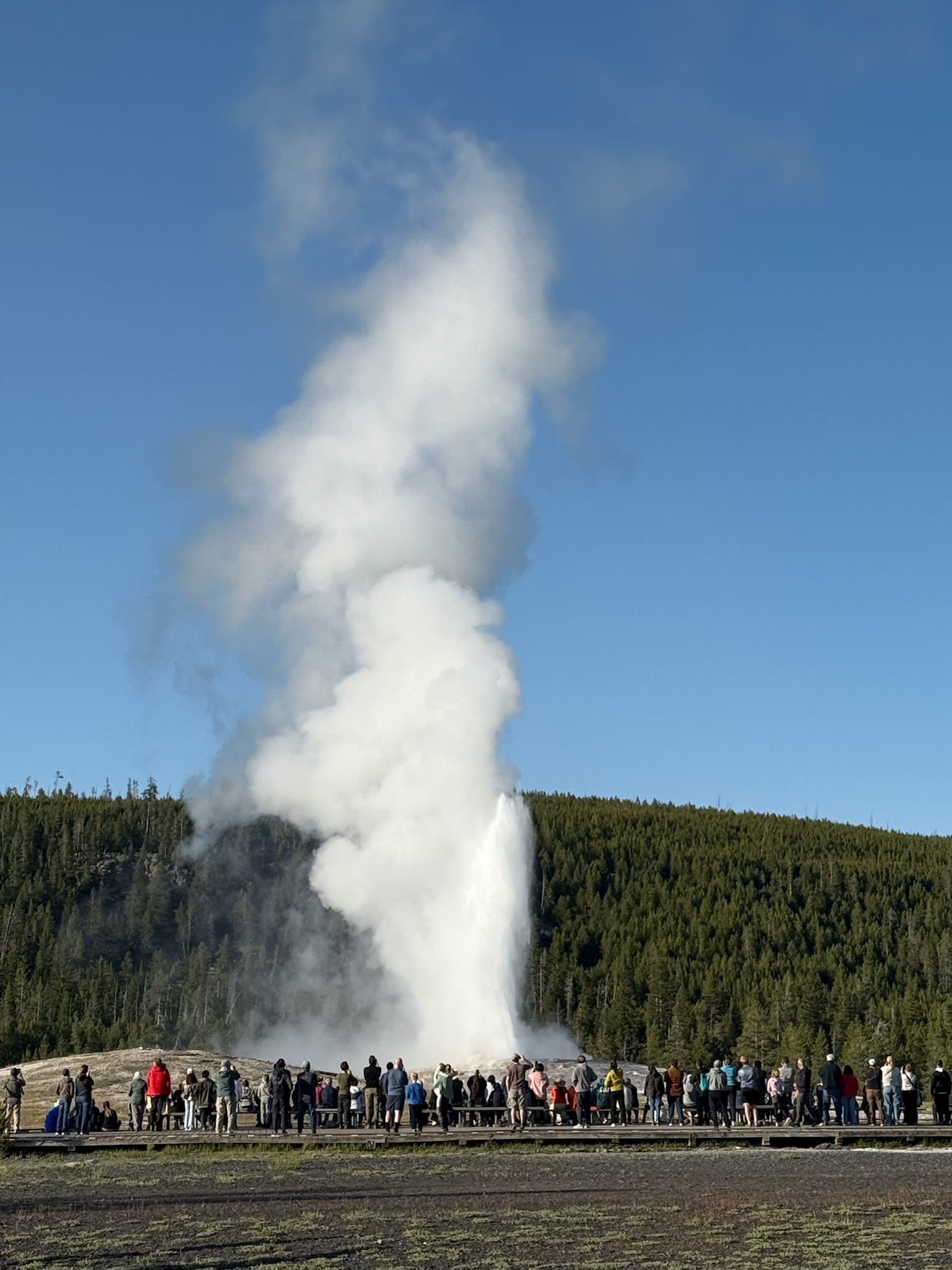 Old Faithful Erupting