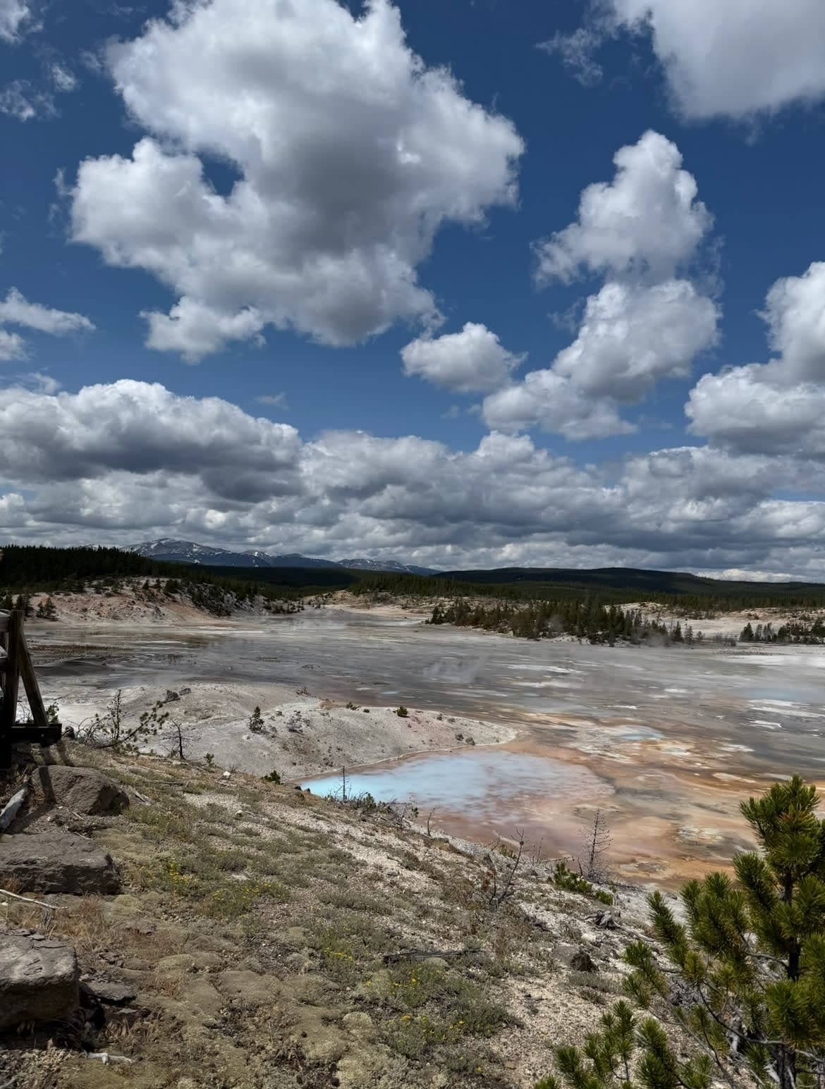 Norris Geyser Basin