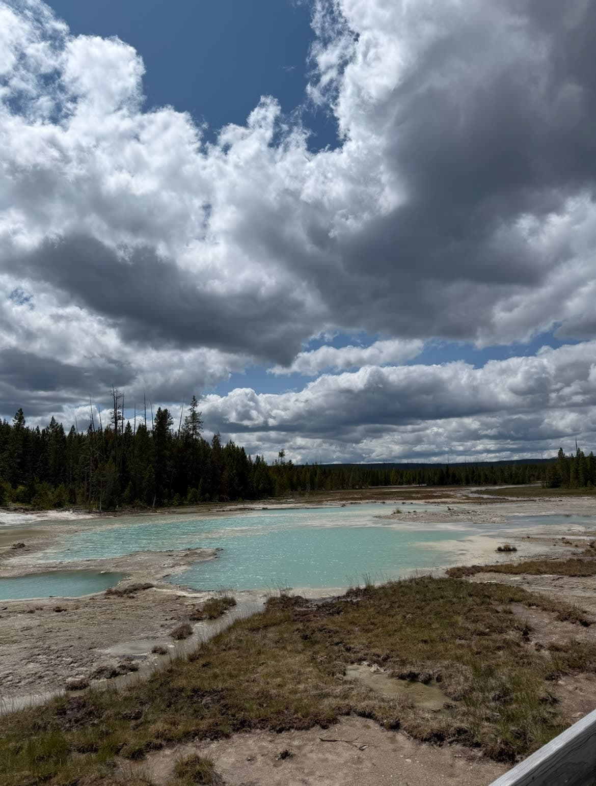Norris Geyser Basin